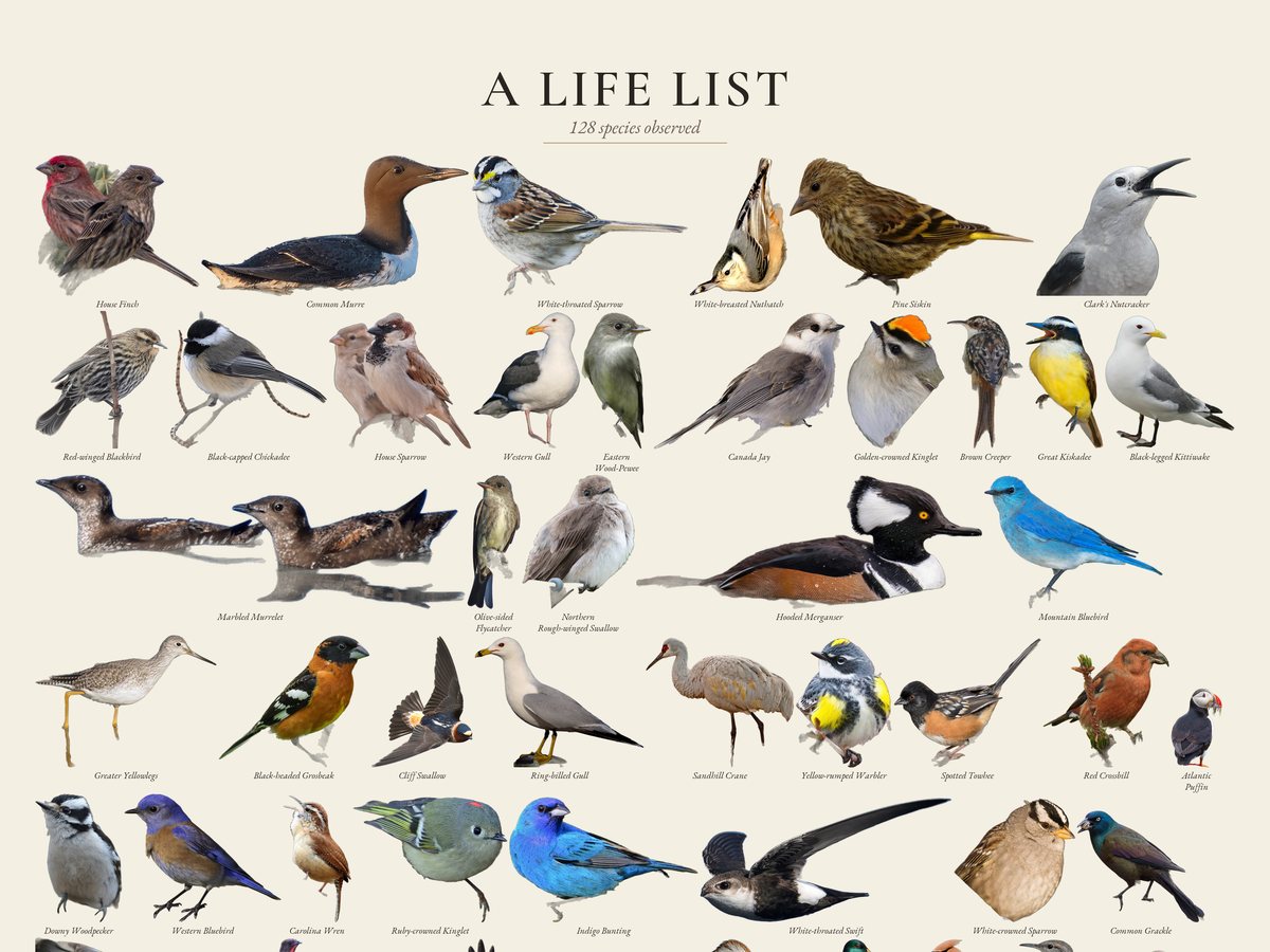 Life List Poster preview