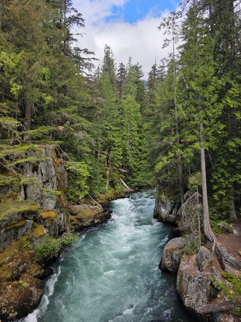 A turquoise river rushing through a forested gorge