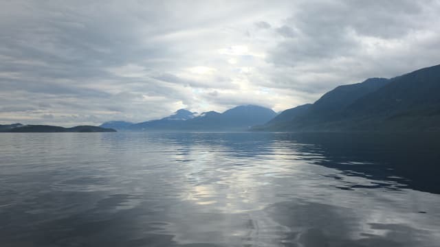 A calm inlet reflecting forested mountains under grey clouds